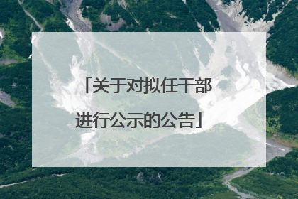 关于对拟任干部进行公示的公告