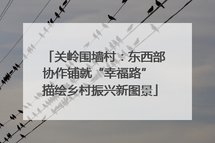 关岭围墙村：东西部协作铺就“幸福路” 描绘乡村振兴新图景