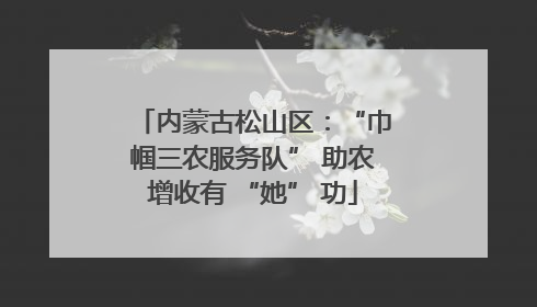 内蒙古松山区：“巾帼三农服务队” 助农增收有 “她” 功