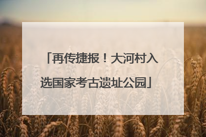 再传捷报！大河村入选国家考古遗址公园