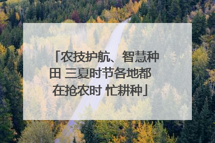 农技护航、智慧种田 三夏时节各地都在抢农时 忙耕种