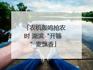 农机轰鸣抢农时 湖滨“开镰”麦飘香
