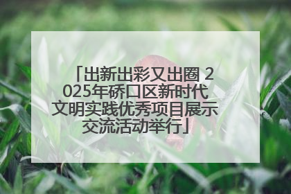 出新出彩又出圈 2025年硚口区新时代文明实践优秀项目展示交流活动举行