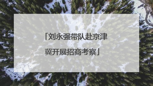刘永强带队赴京津冀开展招商考察
