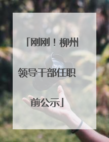 刚刚！柳州领导干部任职前公示