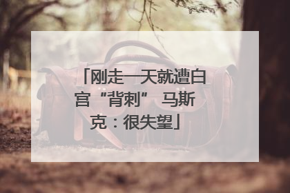 刚走一天就遭白宫“背刺” 马斯克：很失望