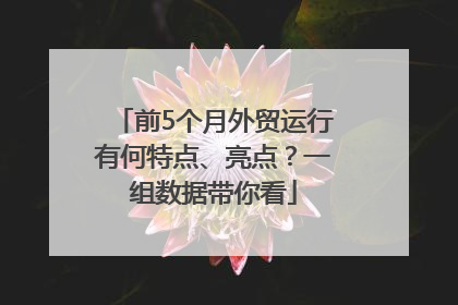 前5个月外贸运行有何特点、亮点？一组数据带你看