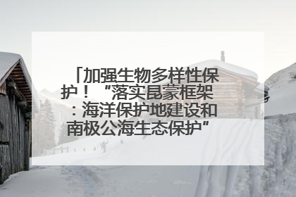 加强生物多样性保护！“落实昆蒙框架：海洋保护地建设和南极公海生态保护”主题论坛将举办