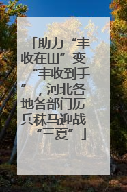 助力“丰收在田”变“丰收到手”，河北各地各部门厉兵秣马迎战“三夏”