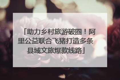 助力乡村旅游破圈！阿里公益联合飞猪打造多条县域文旅爆款线路