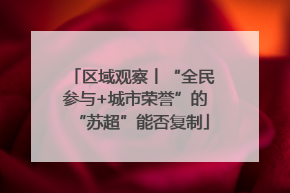 区域观察丨“全民参与+城市荣誉”的“苏超”能否复制