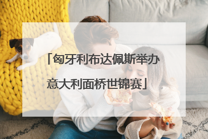 匈牙利布达佩斯举办意大利面桥世锦赛