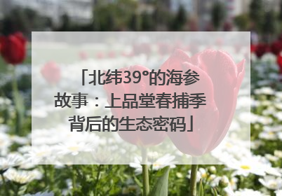 北纬39°的海参故事：上品堂春捕季背后的生态密码