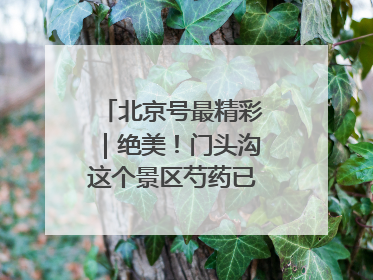 北京号最精彩｜绝美！门头沟这个景区芍药已花开成海