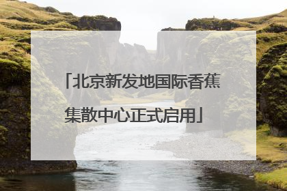 北京新发地国际香蕉集散中心正式启用