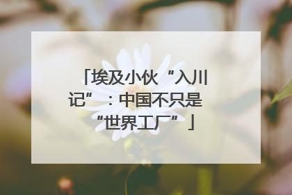 埃及小伙“入川记”：中国不只是“世界工厂”
