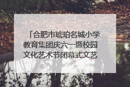 合肥市琥珀名城小学教育集团庆六一暨校园文化艺术节闭幕式文艺汇演圆满举行