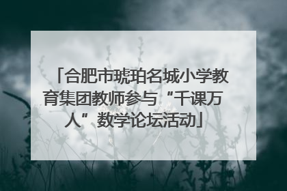 合肥市琥珀名城小学教育集团教师参与“千课万人”数学论坛活动