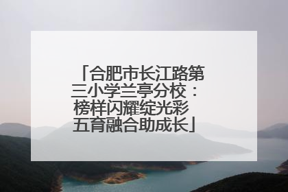合肥市长江路第三小学兰亭分校：榜样闪耀绽光彩 五育融合助成长