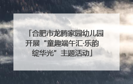 合肥市龙腾家园幼儿园开展“童趣端午汇·乐韵绽华光”主题活动