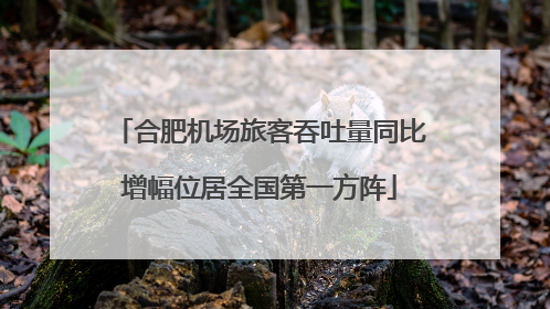 合肥机场旅客吞吐量同比增幅位居全国第一方阵