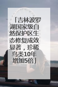 吉林波罗湖国家级自然保护区生态修复成效显著，珍稀鸟类10年增加5倍