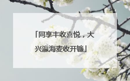 同享丰收喜悦，大兴瀛海麦收开镰