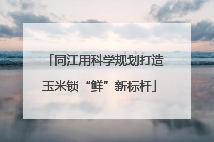 同江用科学规划打造玉米锁“鲜”新标杆