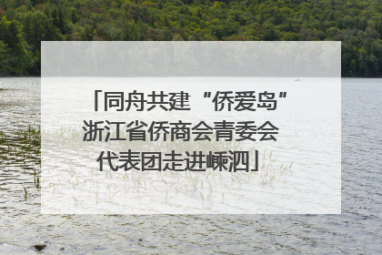 同舟共建“侨爱岛” 浙江省侨商会青委会代表团走进嵊泗