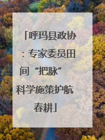 呼玛县政协：专家委员田间“把脉” 科学施策护航春耕