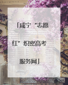 咸宁“志愿红”织密高考服务网
