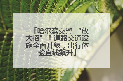 哈尔滨交警 “放大招”！道路交通设施全面升级，出行体验直线飙升