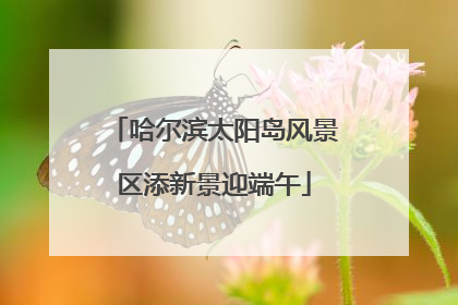 哈尔滨太阳岛风景区添新景迎端午