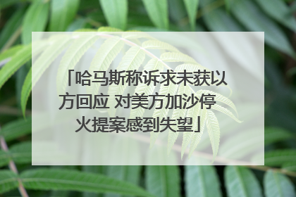 哈马斯称诉求未获以方回应 对美方加沙停火提案感到失望