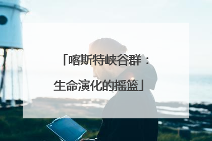 喀斯特峡谷群：生命演化的摇篮