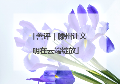善评｜滕州让文明在云端绽放