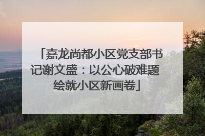 嘉龙尚都小区党支部书记谢文盛：以公心破难题 绘就小区新画卷