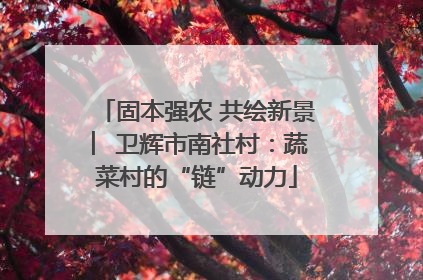 固本强农 共绘新景 ︳卫辉市南社村：蔬菜村的“链”动力