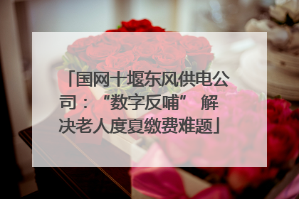 国网十堰东风供电公司：“数字反哺” 解决老人度夏缴费难题