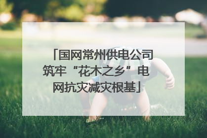 国网常州供电公司筑牢“花木之乡”电网抗灾减灾根基