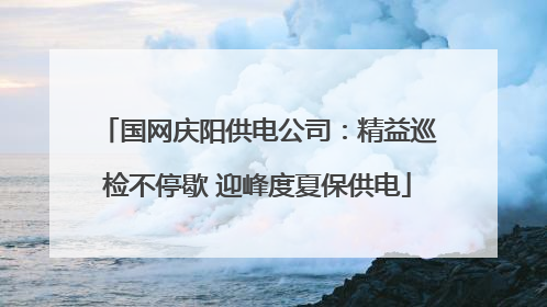 国网庆阳供电公司：精益巡检不停歇 迎峰度夏保供电