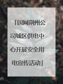 国网荆州公司城区供电中心开展安全用电宣传活动