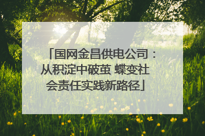 国网金昌供电公司：从积淀中破茧 蝶变社会责任实践新路径