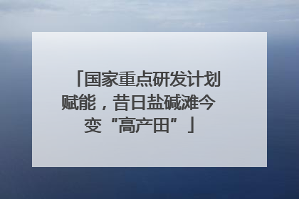 国家重点研发计划赋能，昔日盐碱滩今变“高产田”