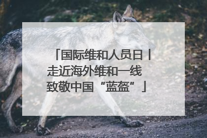 国际维和人员日丨走近海外维和一线 致敬中国“蓝盔”