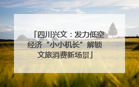 四川兴文：发力低空经济“小小机长”解锁文旅消费新场景
