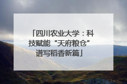 四川农业大学：科技赋能“天府粮仓”谱写稻香新篇