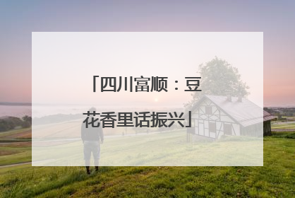 四川富顺：豆花香里话振兴