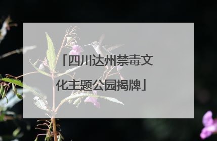 四川达州禁毒文化主题公园揭牌