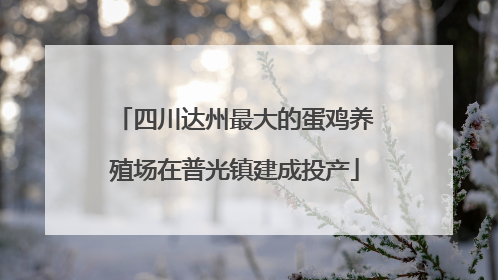 四川达州最大的蛋鸡养殖场在普光镇建成投产